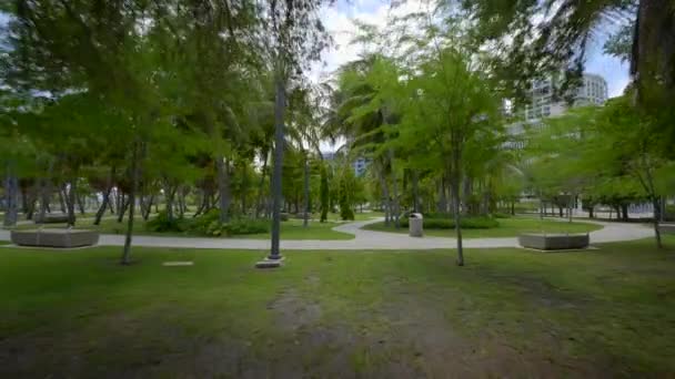 Motion Video Regatta Park Coconut Grove Miami — Stock video