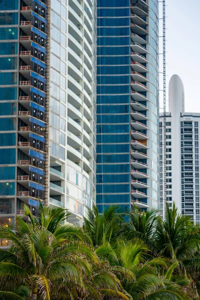 Palmy Výškové Věže Miami Beach Usa — Stock fotografie
