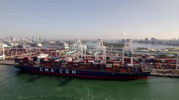 Luftaufnahme Port Miami — Stockvideo