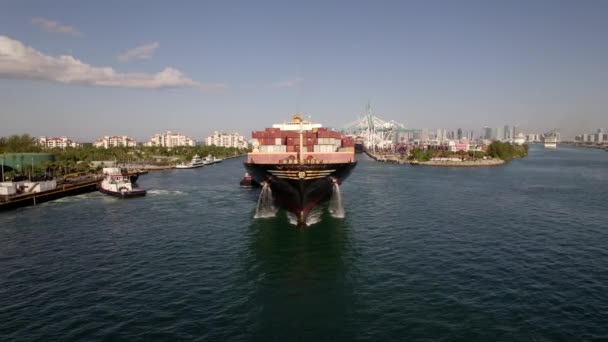 Msc Navio Carga Deportando Port Miami Vídeo Aéreo — Vídeo de Stock