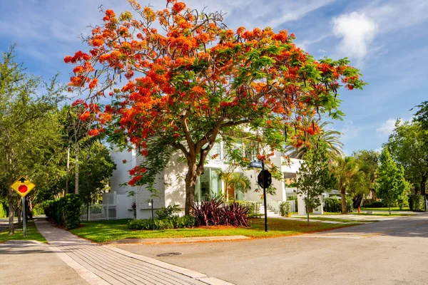 Miami Amerika Serikat Juni 2021 Rumah Keluarga Lajang Mewah Key — Stok Foto