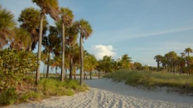 Sahilin canlı renkleri