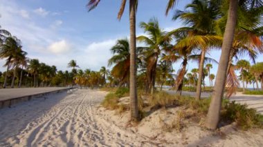 Sandy Miami Sahili Yaz Sahnesi