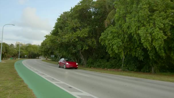 Video Crandon Boulevard Key Biscayne Miami — Stock video