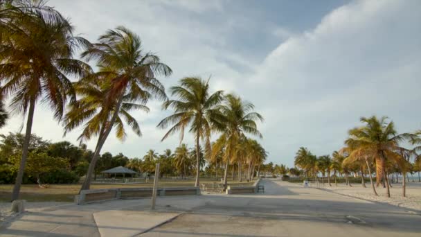 Playa Florida Con Palmeras — Vídeos de Stock