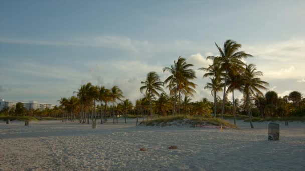 Solnedgång Stranden Usa — Stockvideo