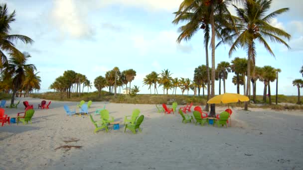 Sommartid Strand Scen Miami Solstolar Och Bord — Stockvideo