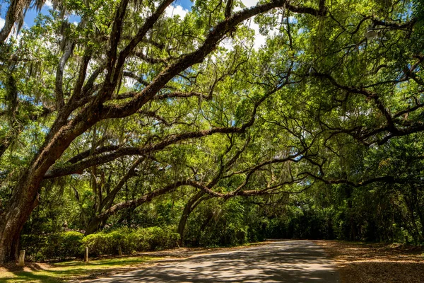 Tallahassee Amerika Serikat Mei 2021 Rumah Keluarga Tunggal Tallahassee Florida — Stok Foto