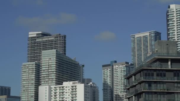 Высотная Архитектура Делового Района Brickell Miami — стоковое видео