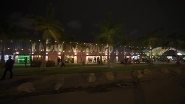 Wynwood Miami Floryda Klip Nocny — Wideo stockowe