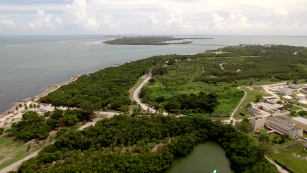 Virginia Key Miami Mountainbike Trails Luchtfoto Video — Stockvideo