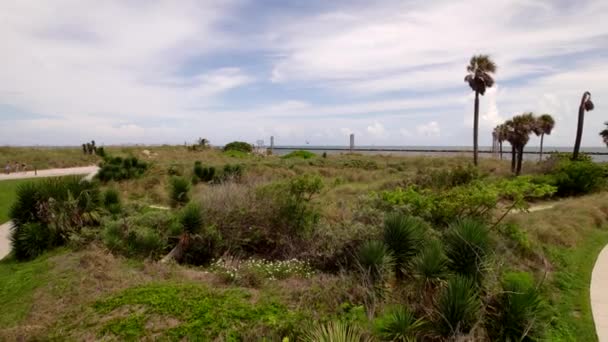 Miami Beach Sea Oats Dunes South Pointe Park — 图库视频影像