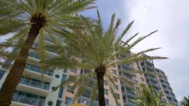 Miami Beach otelleri ve palmiye ağaçları yavaş çekim 4K video