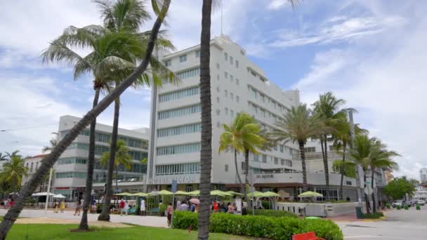 Miami Beach Estados Unidos Junio 2021 Miami Beach Hotel Victor — Vídeos de Stock