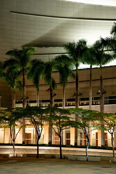 Park Trees Night — Stock Photo, Image