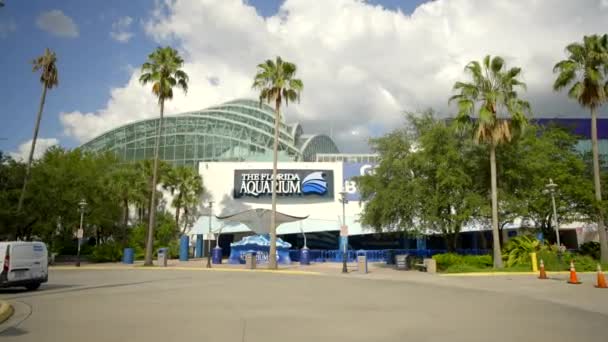 Aquarium Floride Tampa Motion Video — Video