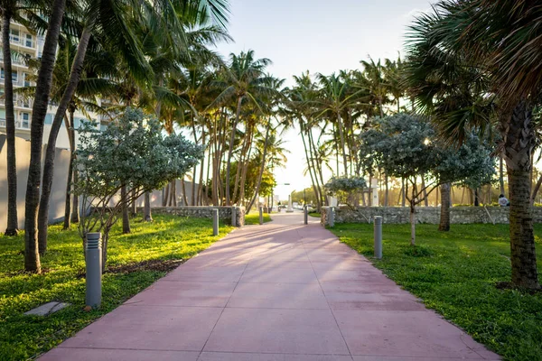 Toegang Tot Het Strand Miami Beach — Stockfoto