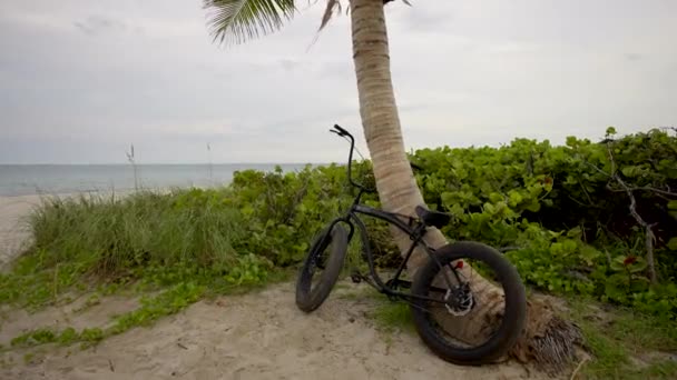 Grasso Pneumatico Spiaggia Cruiser Bici — Video Stock