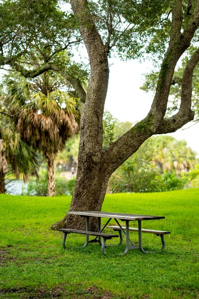 Mesa Piquenique Parque Sem Pessoas — Fotografia de Stock