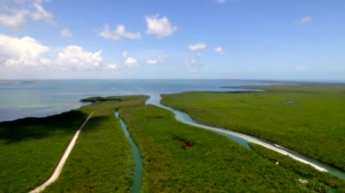 Florida Everglades 'te kızıl gel-git göleti. Keyifli manzara. 5k hava görüntüsü.