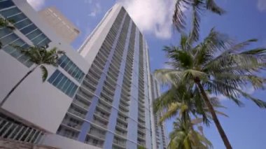 4k hareketli palmiye ağaçları ve yükselen gayrimenkul Miami Florida USA