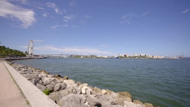 パノラマダウンタウンマイアミ港 4KのBayfront公園から撮影されたビデオ — ストック動画