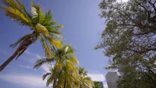 Centro Miami Vídeo Movimento Bayside Bayfront Park — Vídeo de Stock