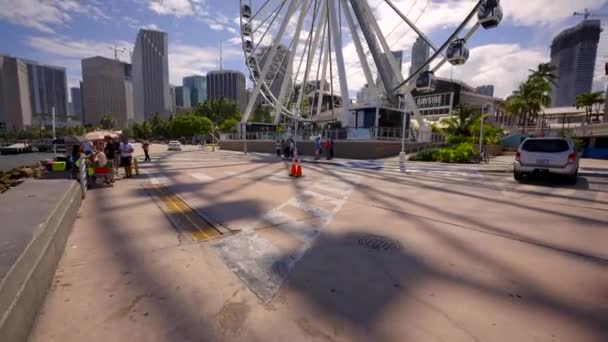 Miami Usa Augusti 2021 Luta Upp Avslöjar Skyviews Miami Pariserhjul — Stockvideo