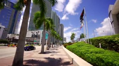 Miami, FL, ABD - 8 Ağustos 2021: Miami turu Biscayne Bulvarı kaldırımı 4k