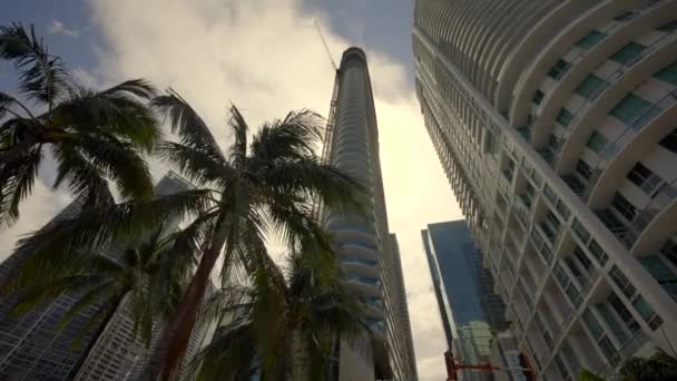 Palmy Drapacze Chmur Budowie Miami Materiał Filmowy Nakręcony Gimbal Stabilizator — Wideo stockowe
