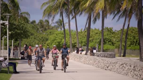Turistas Bicicleta Miami Focus Tracking — Vídeos de Stock