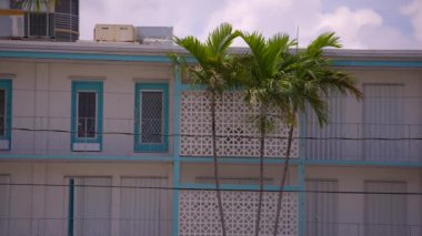 Miami tarzı eski apartman ve palmiye ağacı 4k