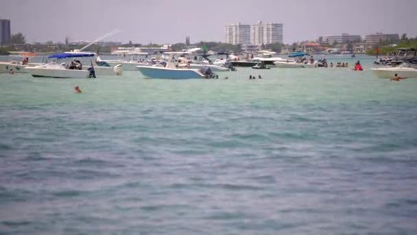 Bootsfahrer Wasser 60Fps Miami Beach Haulover Sandbar Szene Sonntagmorgen — Stockvideo