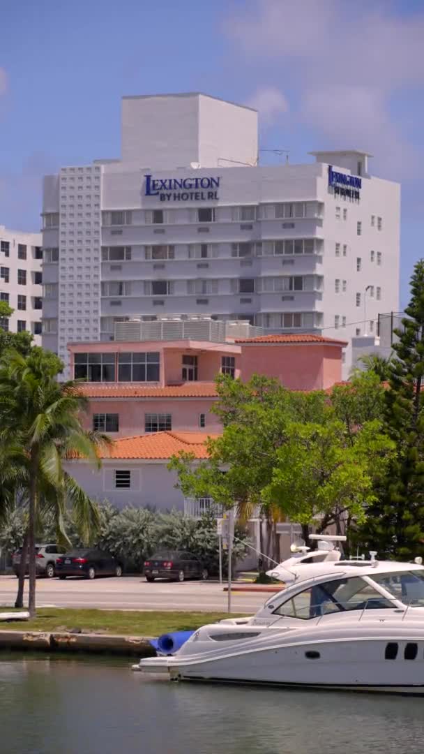 Vertikal Video Lexington Hotel Miami Beach Usa — Stockvideo