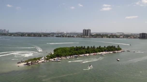 Şçi Bayramının Varış Yeri Miami 60Fps — Stok video