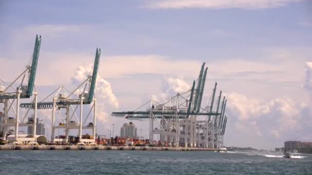 Lastkranar Port Miami — Stockvideo