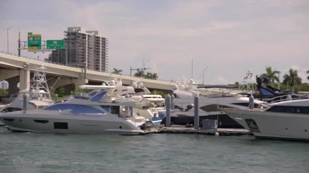 Miami Scena Yacht Lusso Porto Turistico 60Fps — Video Stock