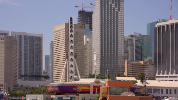 Video Motion Downtown Miami Adegan Menunjukkan Roda Ferris Skyviews Dan — Stok Video