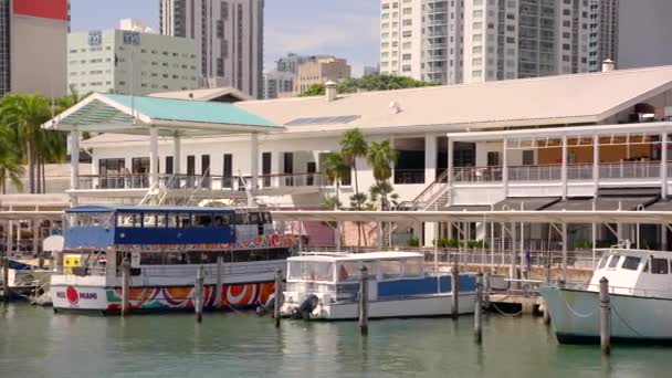 Filmklipp Bayside Marina Miami 60Fps — Stockvideo