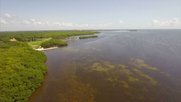 Aerial video Deering Bay and estates — Stock Video