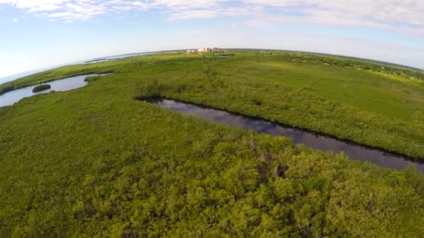 Vídeo aéreo de uma natureza preservam — Vídeo de Stock