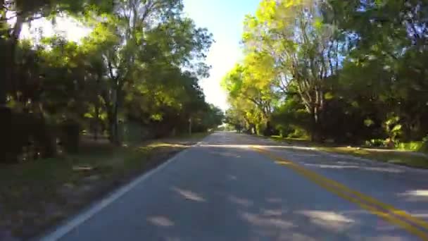 Drijven op de weg met achterste geconfronteerd met camera — Stockvideo