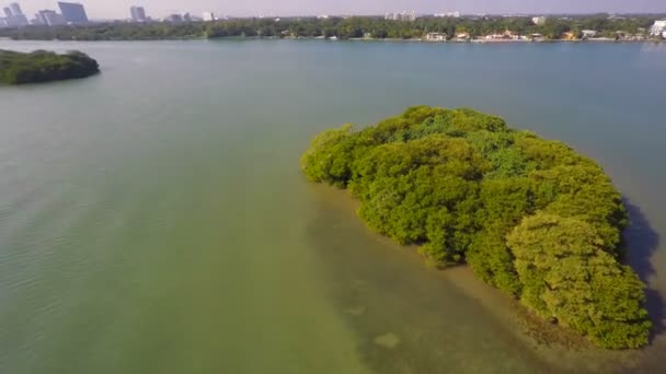 Secluded islands Miami aerial video — Stock Video