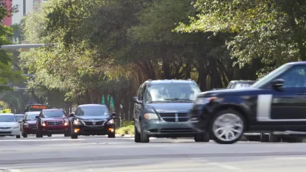 Cars at Brickell avenue — Stock Video