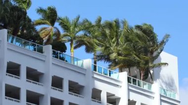Modern Miami mimarisi