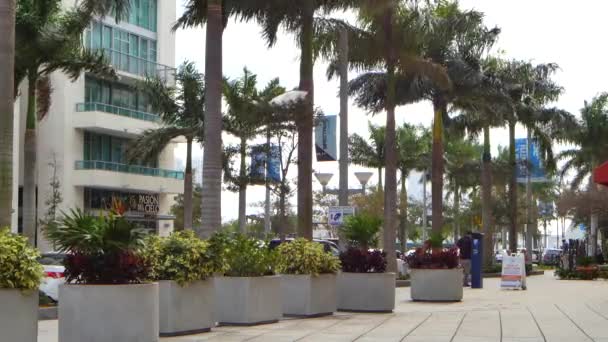 Video av Midtown Miami på en blåsig dag — Stockvideo