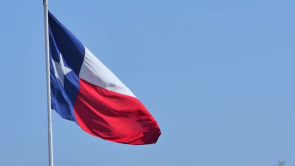 Bandeira do Texas — Vídeo de Stock