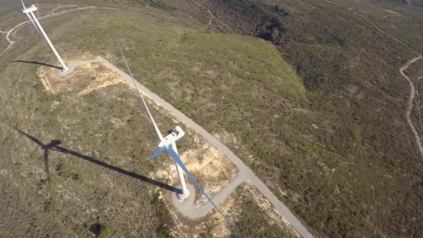 Parc éolien avec générateurs éoliens — Video