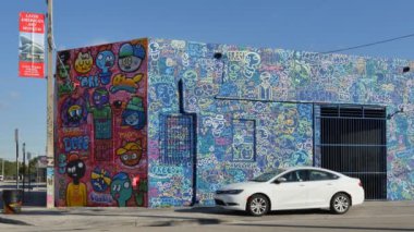 Wynwood Miami Fl video
