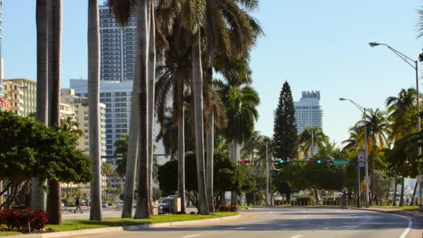 Video de Collins Avenue Miami Beach — Vídeo de stock